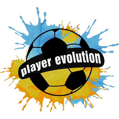Favicon - Player Evolution